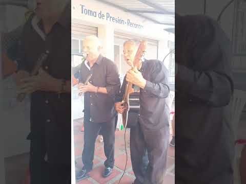 Integrantes del trío cantando y tocando la guitarra en una actuación